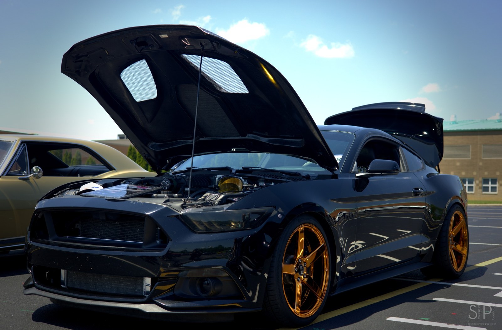 Black Mustang with gold wheels photographed outdoors.